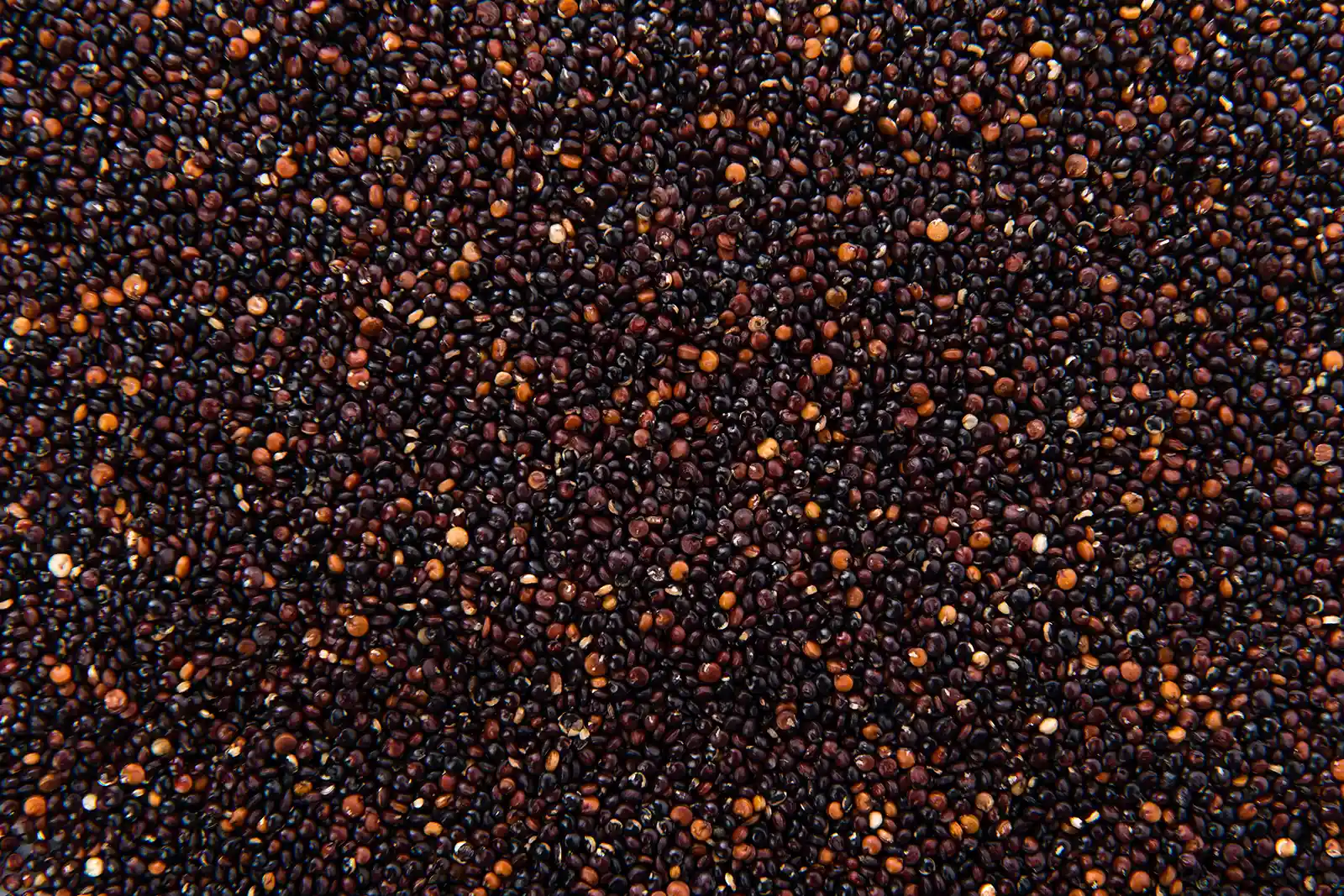 Agro & Spices