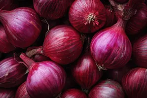Onion